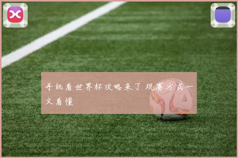 手机看世界杯攻略来了 观赛方式一文看懂