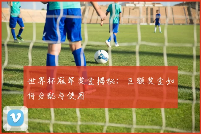 世界杯冠军奖金揭秘:巨额奖金如何分配与使用