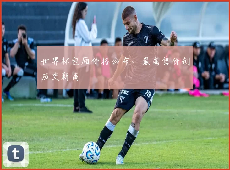 世界杯包厢价格公布,最高售价创历史新高