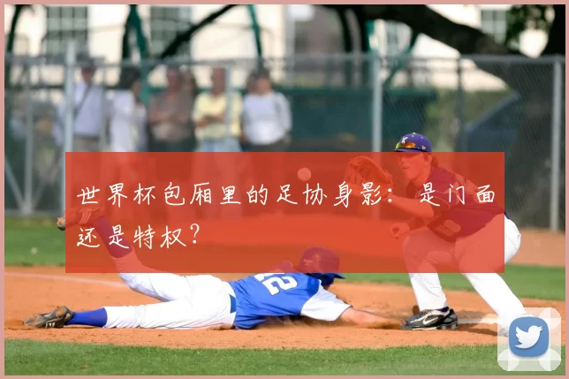 世界杯包厢里的足协身影：是门面还是特权？