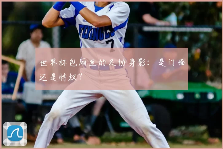世界杯包厢里的足协身影：是门面还是特权？